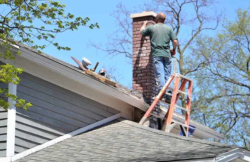 Chimney & Fireplace Inspections Services in Catonsville, MD